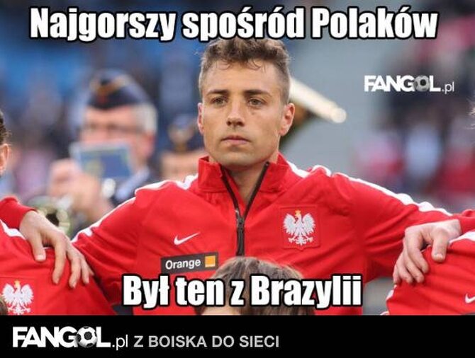 fot. fangol.pl