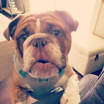 Big Poppa 