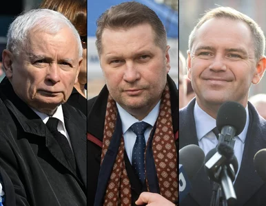 Miniatura: Czarnek ze stanowiskiem w Pałacu...
