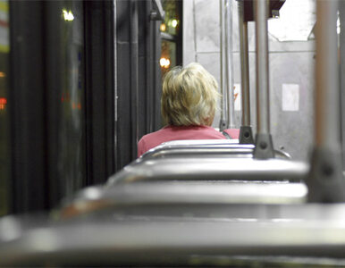 Miniatura: Po prawie pół wieku tramwaje wrócą do...