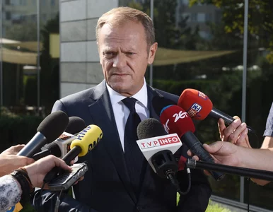 Miniatura: Tusk o szefach Amber Gold i SKOK-ów: Jeden...
