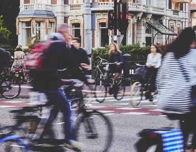 Miniatura: Pracuj zdalnie na złość Putinowi. Naukowcy...