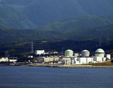 Miniatura: Japonia: pilna kontrola wszystkich reaktorów