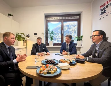 Miniatura: Польські компанії допоможуть відбудувати...