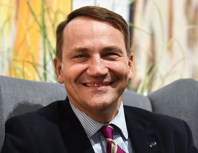 Miniatura: Sikorski pokazał oświadczanie majątkowe....