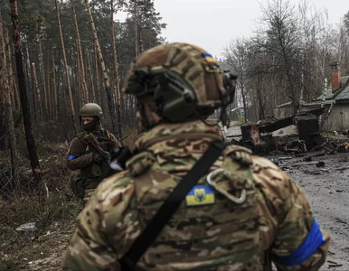 Miniatura: Ilu Polaków walczy w ukraińskiej armii?...