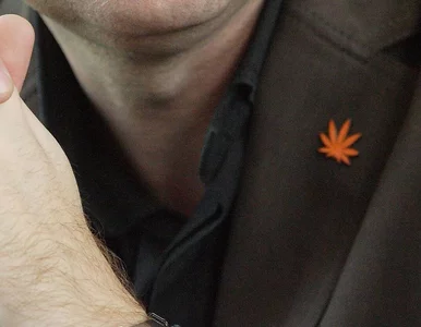Miniatura: PiS i Solidarna Polska: Ruch Palikota...
