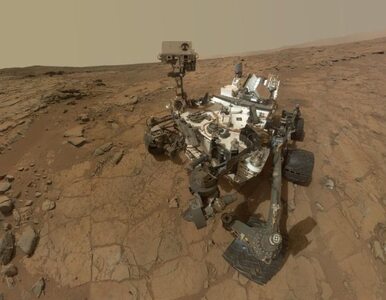 Miniatura: Łazik Curiosity sfotografował na Marsie......