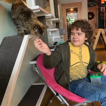 Gaten Matarazzo 