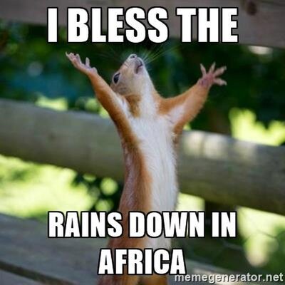 Miniatura: Memy na temat piosenki "Africa" zespołu Toto