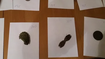 Kolekcja przedmiotów 