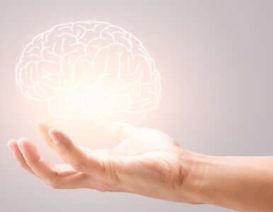 Miniatura: 10 dziedzin i 10 pytań. Odpowiesz na...