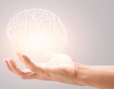 Miniatura: 10 dziedzin i 10 pytań. Odpowiesz na...