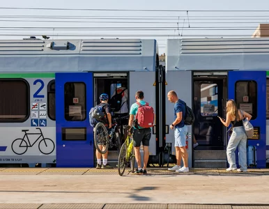 Miniatura: Wyjątkowa promocja w PKP. Podróże z jednym...