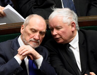 Miniatura: Kaczyński ramię w ramię z Macierewiczem....