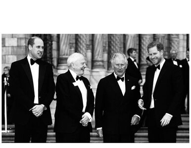 Miniatura: Harry, William i książę Karol na jednym...