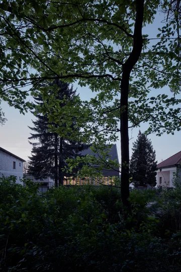 Renowacja podmiejskiego domku, projekt Kaa Studio Linka, forest, Kaa