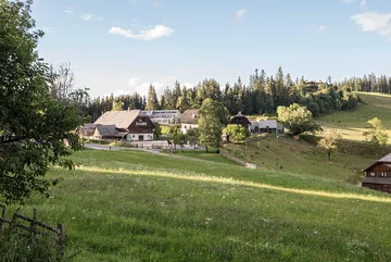 Alpejski chalet w nowoczesnym wydaniu, projekt PPAG architects 