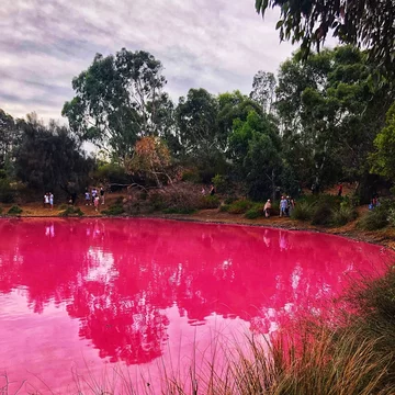 Jezioro w Westgate Park 