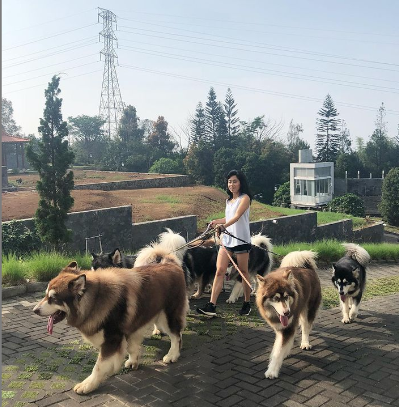 Właścicielka ze swoimi psami 
