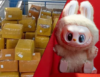 Miniatura: Ponad 9 tys. „Labubu” w busie. Służby...