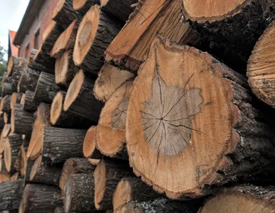 Miniatura: Proboszcz miał zapłacić ćwierć miliona zł...