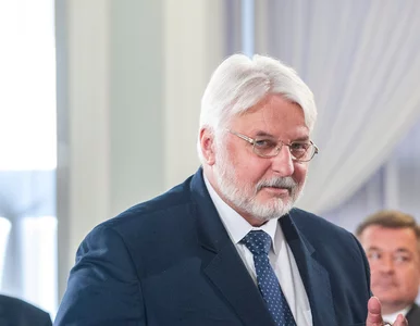 Miniatura: Waszczykowski: Powinniśmy poprosić...