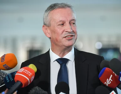 Miniatura: „Systemy przeciwlotnicze bez nadzoru”....