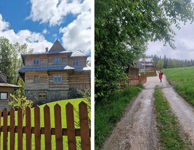 Miniatura: W Zakopanem nie ma lepszej ulicy na...