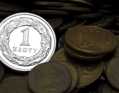 Miniatura: Złoty w dół. Euro najdroższe od ponad...