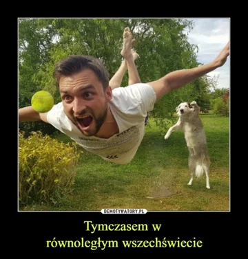 Mem z okazji Dnia Psa 