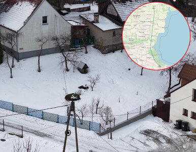 Miniatura: Ten bocian wywołał sensację w Polsce. Są...