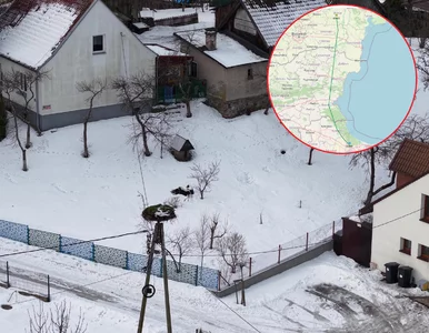 Miniatura: Ten bocian wywołał sensację w Polsce. Są...