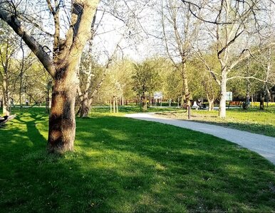 Miniatura: Ten warszawski park dla wielu jest...