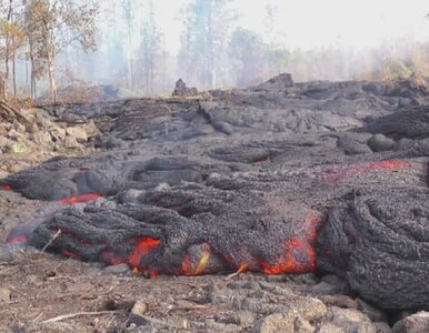 Miniatura: Hawaje: Lawa z wulkanu Kilauea zbliża się...