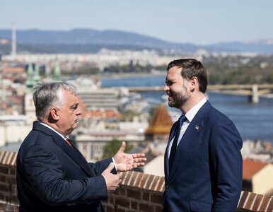 Miniatura: Tak Orban broni się przed klęską. „To już...