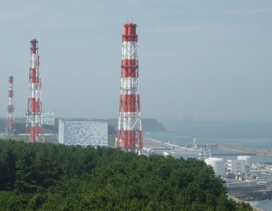 Miniatura: Rekordowy poziom promieniowania w Fukushimie