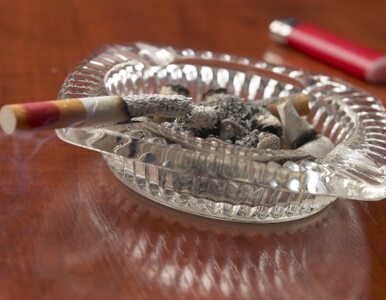 Miniatura: Koncerny nikotynowe kontra... papierosy