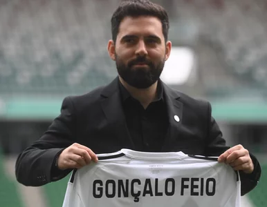 Miniatura: Tak Legia Warszawa zagra pod wodzą Goncalo...
