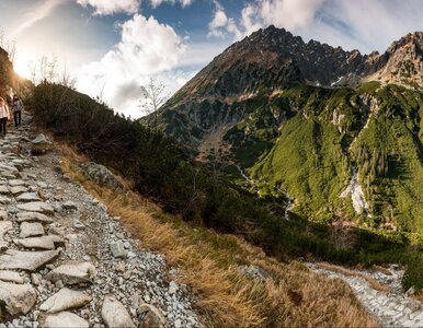 Miniatura: Poważne zmiany w Tatrach. Wszystko przez...