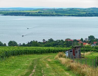 Miniatura: „Mały Balaton” niedaleko Polski. Tylko...