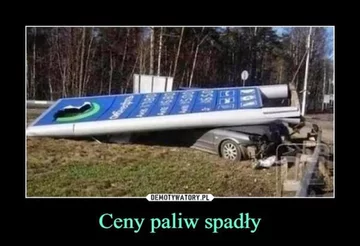 Ceny paliw: memy 