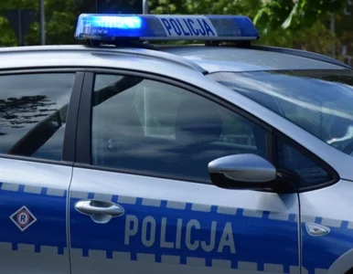 Miniatura: Agresywny 23-latek terroryzował dzieci....