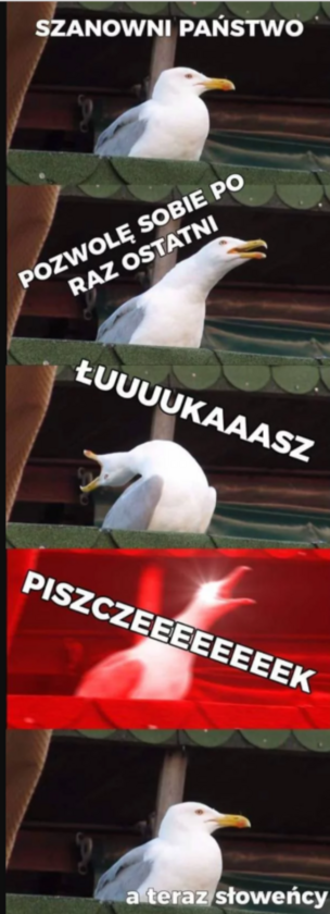 Mem po meczu Polski ze Słowenią 