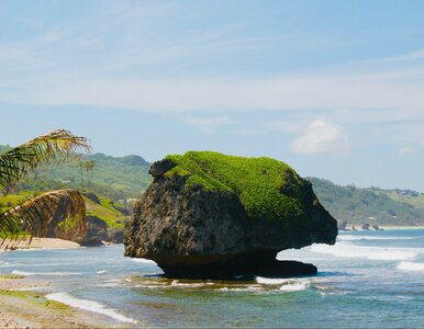 Miniatura: Karaibski raj na wyciągnięcie ręki. Polacy...