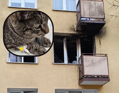 Miniatura: Wrócił do płonącego mieszkania, żeby...