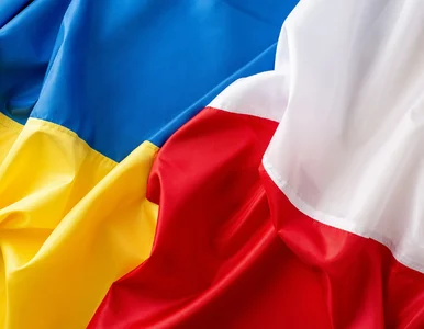 Miniatura: 50 українців депортовано зі Сполучених...