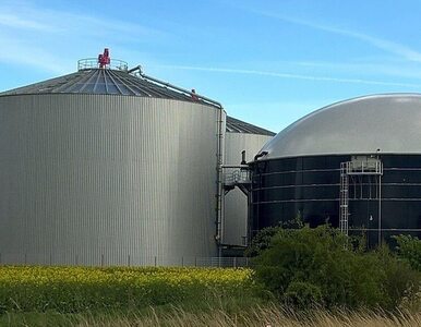 Współpraca czołowych graczy rynku OZE w zakresie biometanu i biogazu