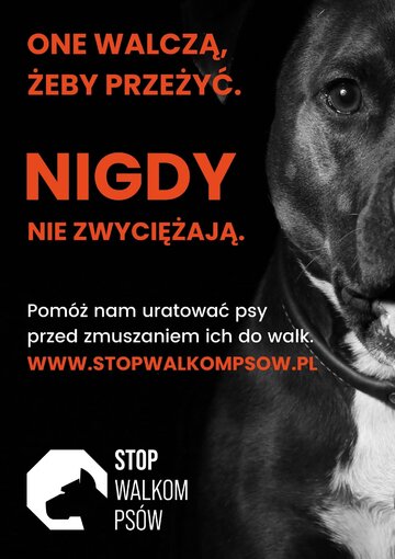 Stop Walkom Ps&oacute;w