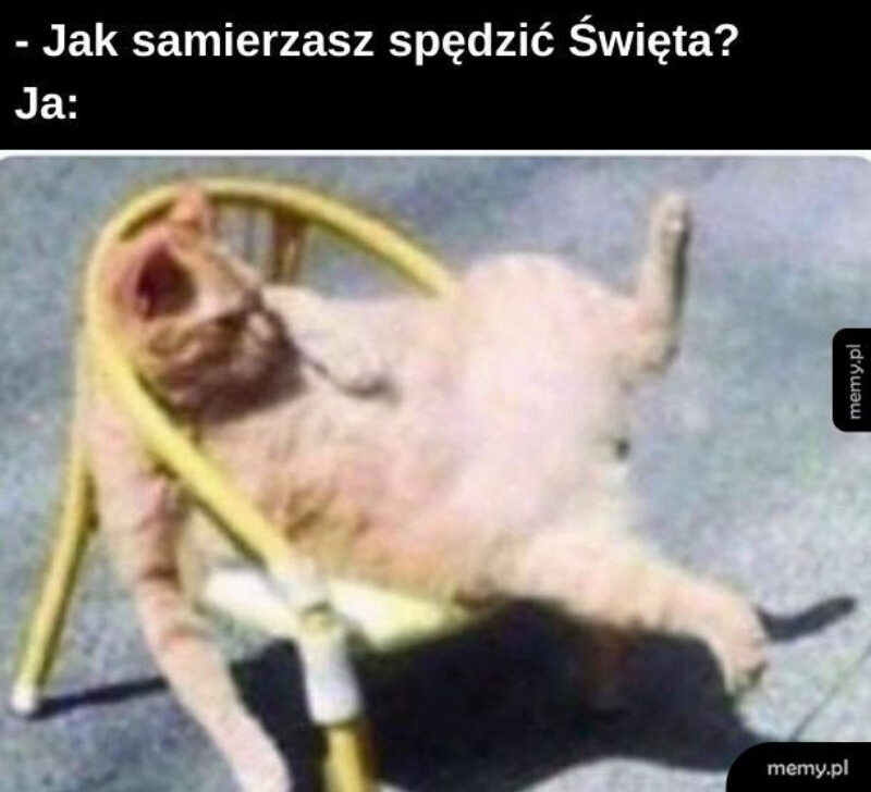 Świąteczny mem 